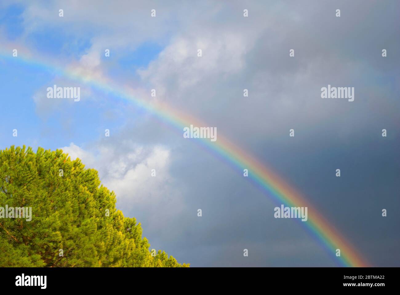 Rainbow. Stock Photo