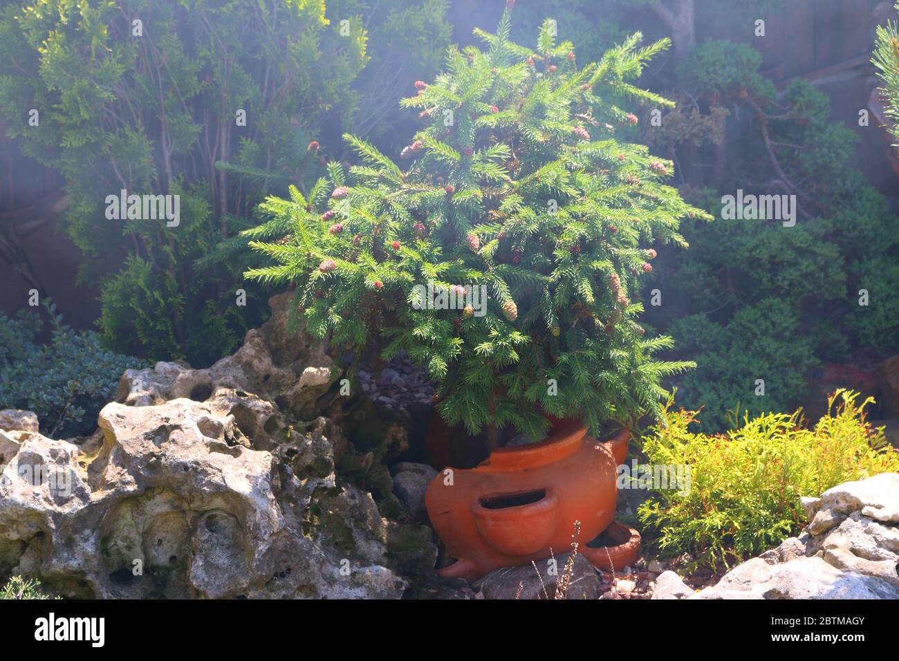 Green Walls And Buildings Stock Photo Alamy Green Walls And Buildings Stock Photo Alamy