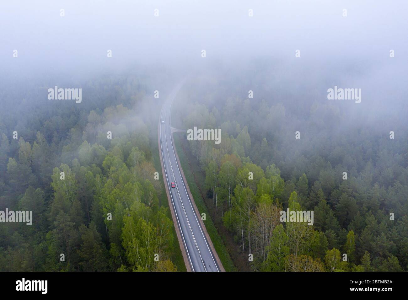 Aerial view through trees fog hi-res stock photography and images - Alamy