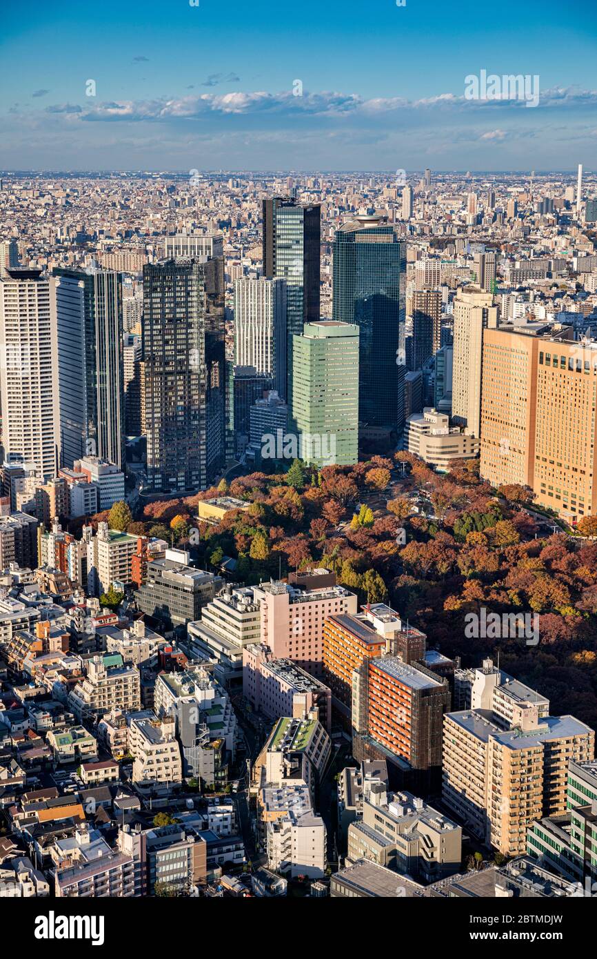 Japan ,Tokyo City, Shinjuku District, Central Park Stock Photo
