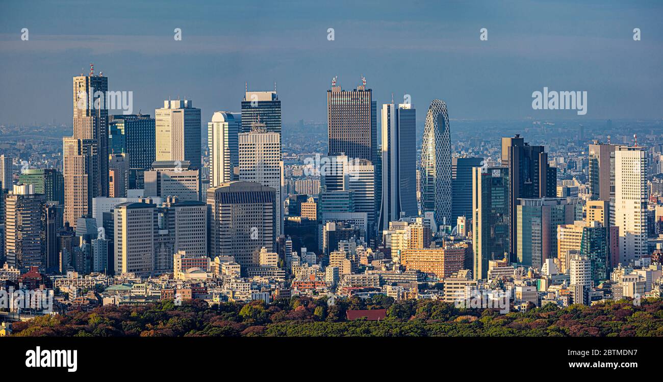 Japan ,Tokyo City, Meiji Park and Shinkuku Skyline Stock Photo