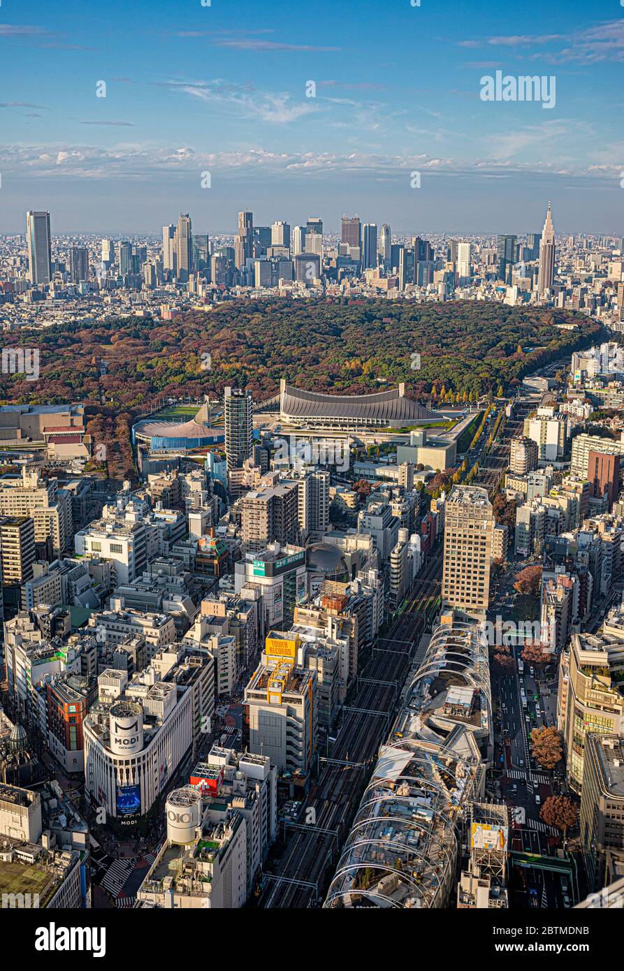 Japan ,Tokyo City, Meiji Park and Shinkuku Skyline Stock Photo