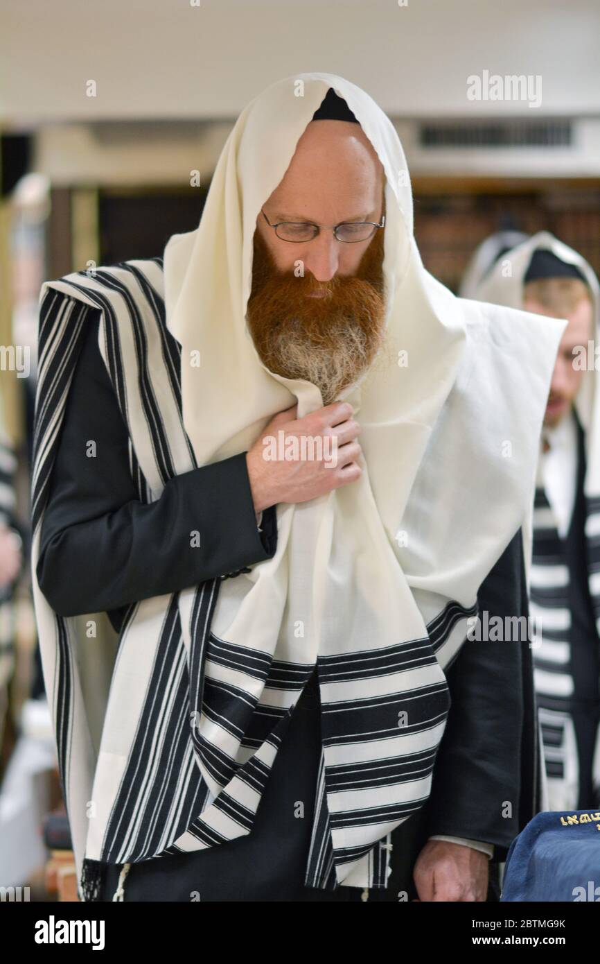 A religious Jewish man, likely a rabbi, reciting morning prayers while wearing a tallis (prayer shawl). In Brooklyn, New York. Stock Photo