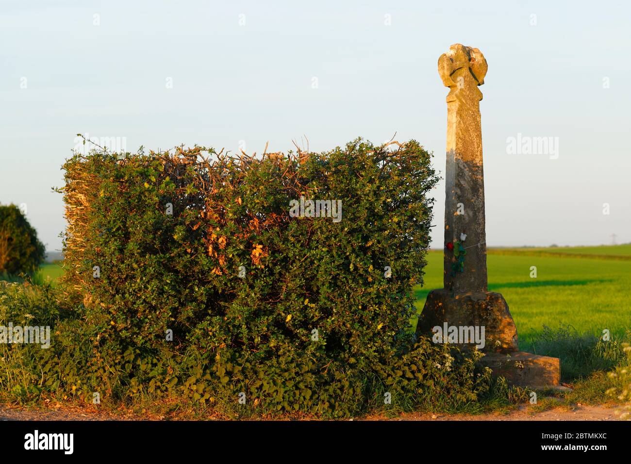 The Towton Cross stands next to farmland on what is known to be the bloodiest battle in Britain. The War Of The Roses. Stock Photo