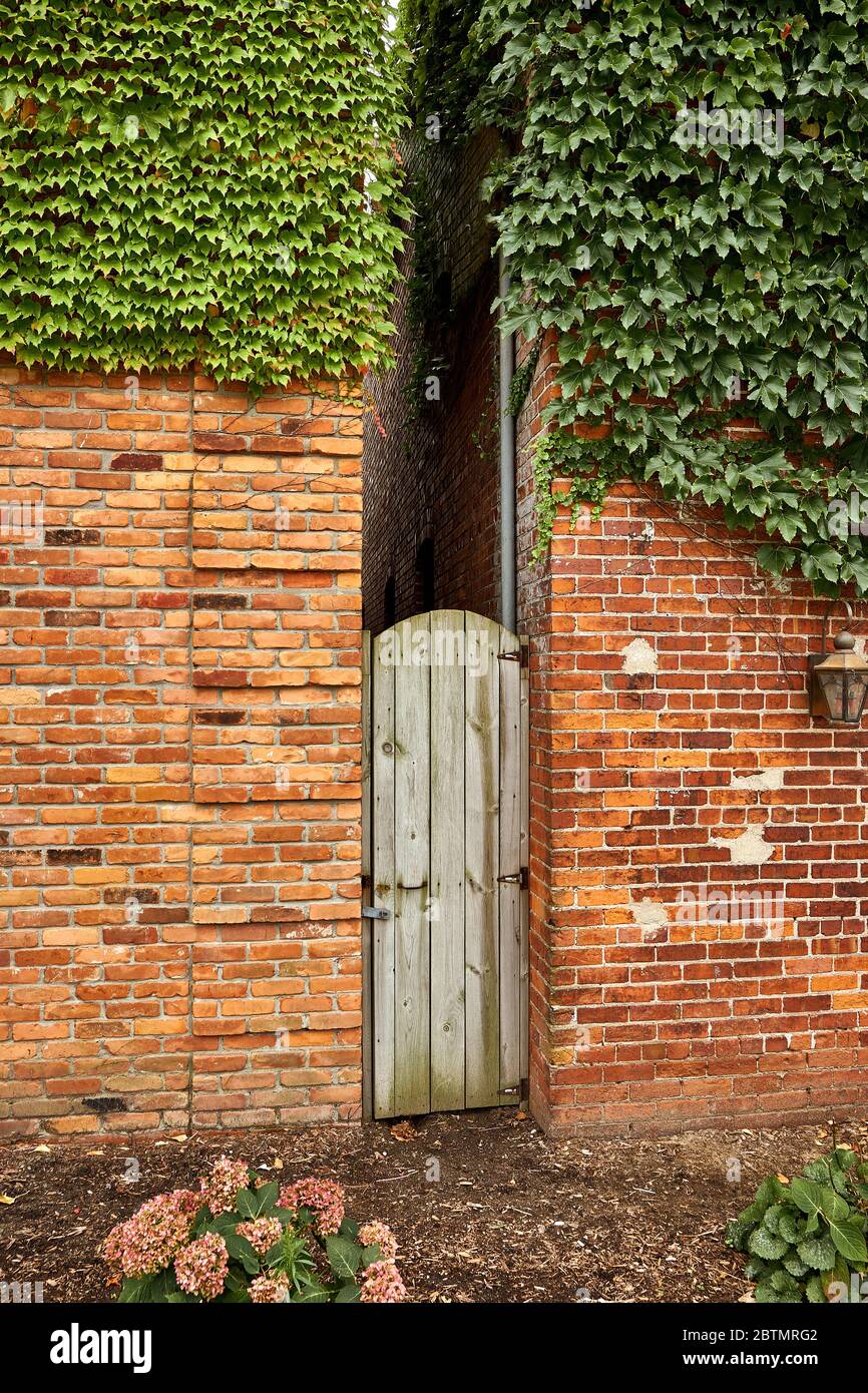 Arch top weathered wooden gate, doorway, on ivy vine covered brick buildings leading into an extremely narrow and mysterious alleyway. Vertical format Stock Photo