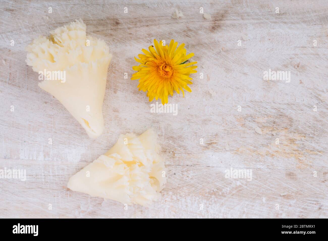 Shaving Tete De Moine Cheese Using Girolle Knife. Monks Head Stock Image -  Image of mold, girolle: 216584533