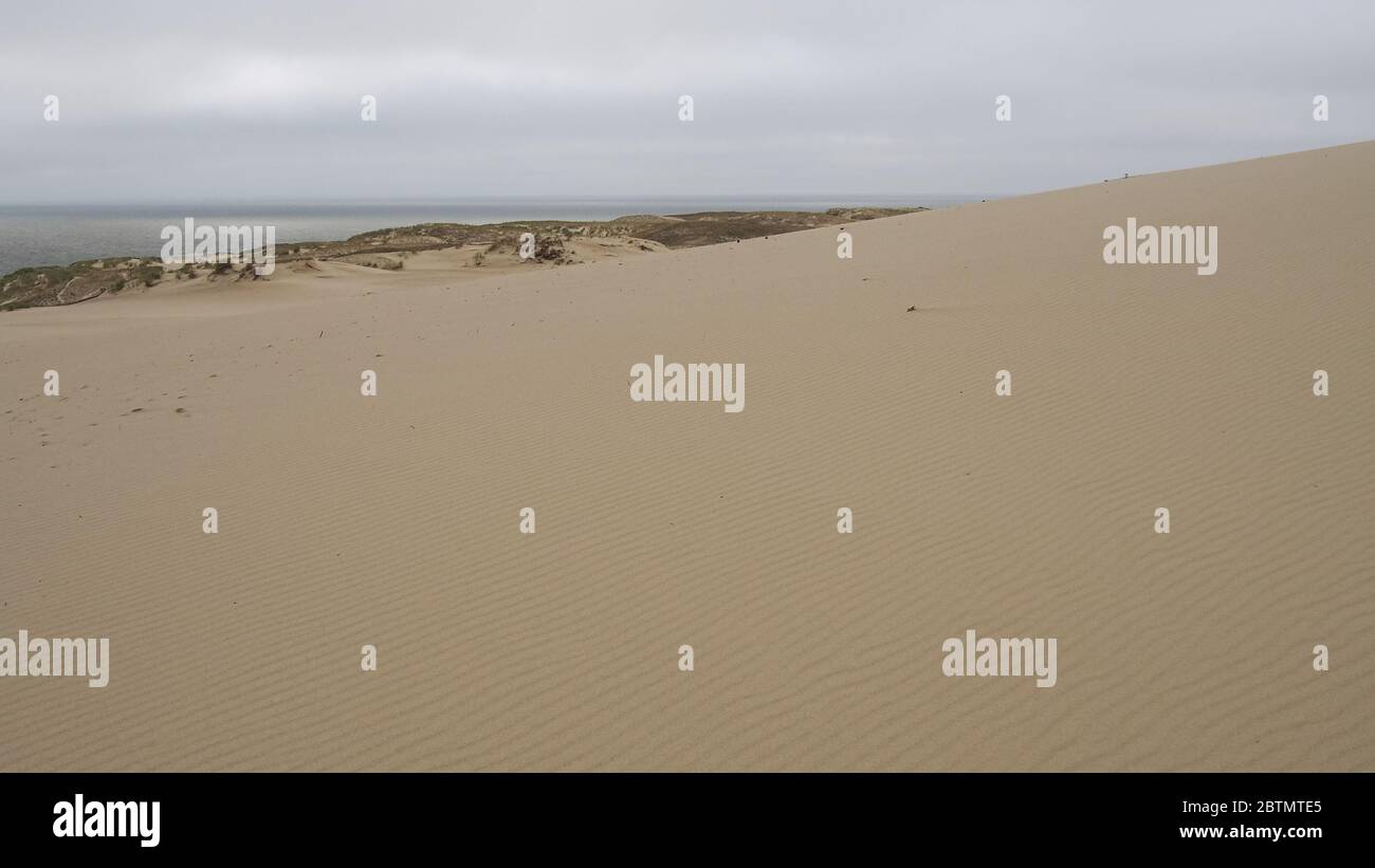 Curonian Spit sand dunes in Nida, Lithuania on the Baltic sea background Stock Photo