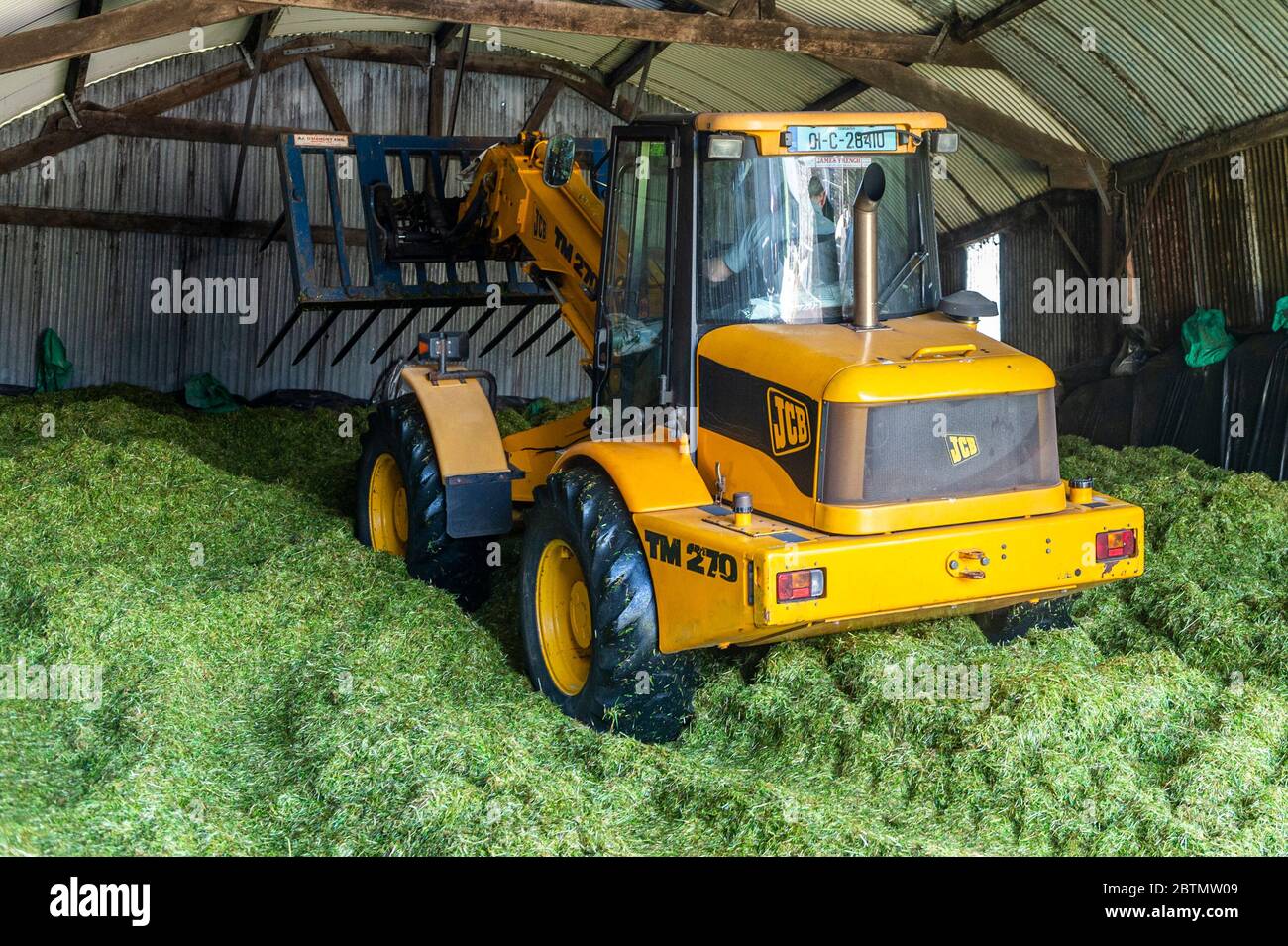 Drinagh, West Cork, Ireland. 27th May, 2020. On a very sunny day in West Cork, George Wilson, driving a JCB TM 270 pivot steer telehandler, compacts silage in the pit on his farm in Drinagh, West Cork. Credit: AG News/Alamy Live News Stock Photo