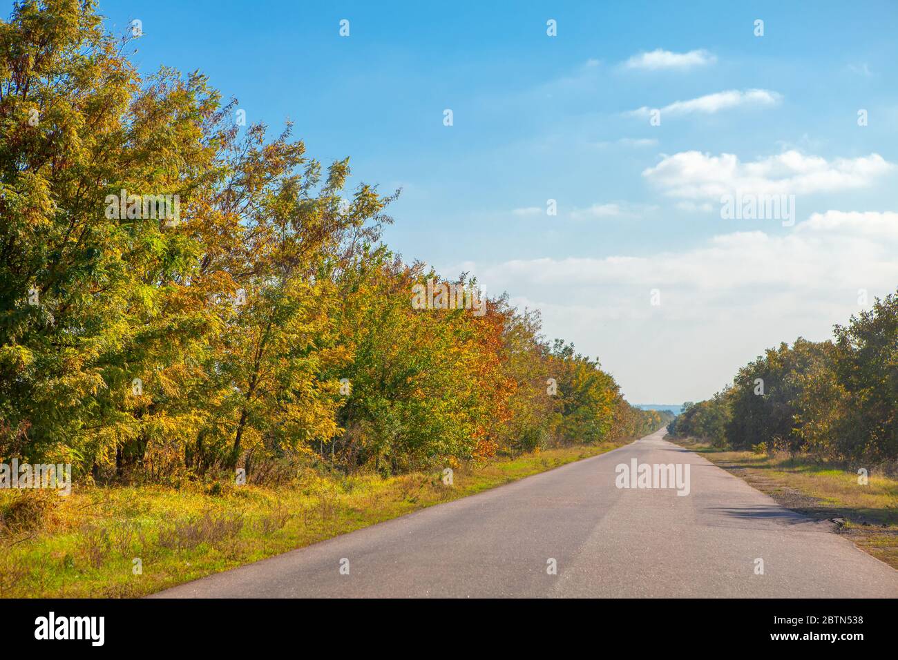 driving at asphalt road in the autumn Stock Photo - Alamy