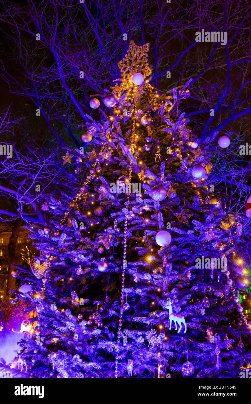 Christmas tree in Vienna, Austria Stock Photo Alamy