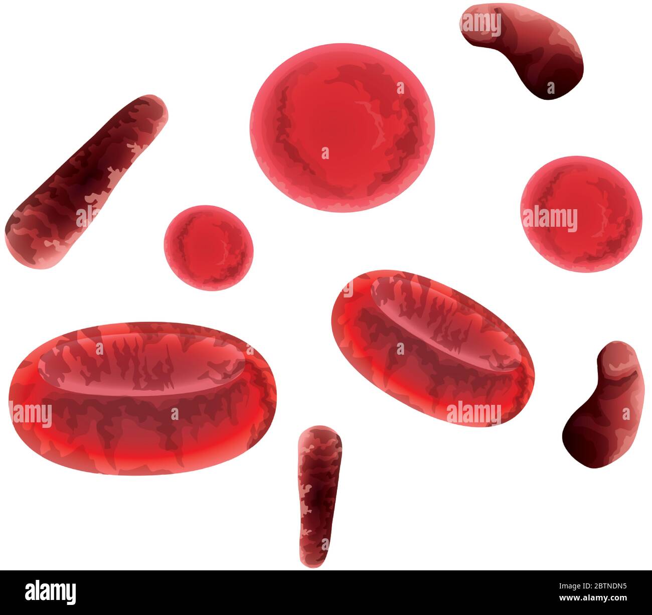 blood particles fluid medical icons Stock Vector Image & Art Alamy