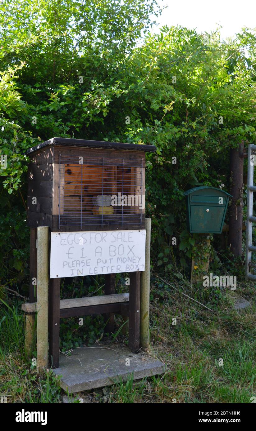 Organic fresh farm eggs for sale at roadside, with sign and letterbox