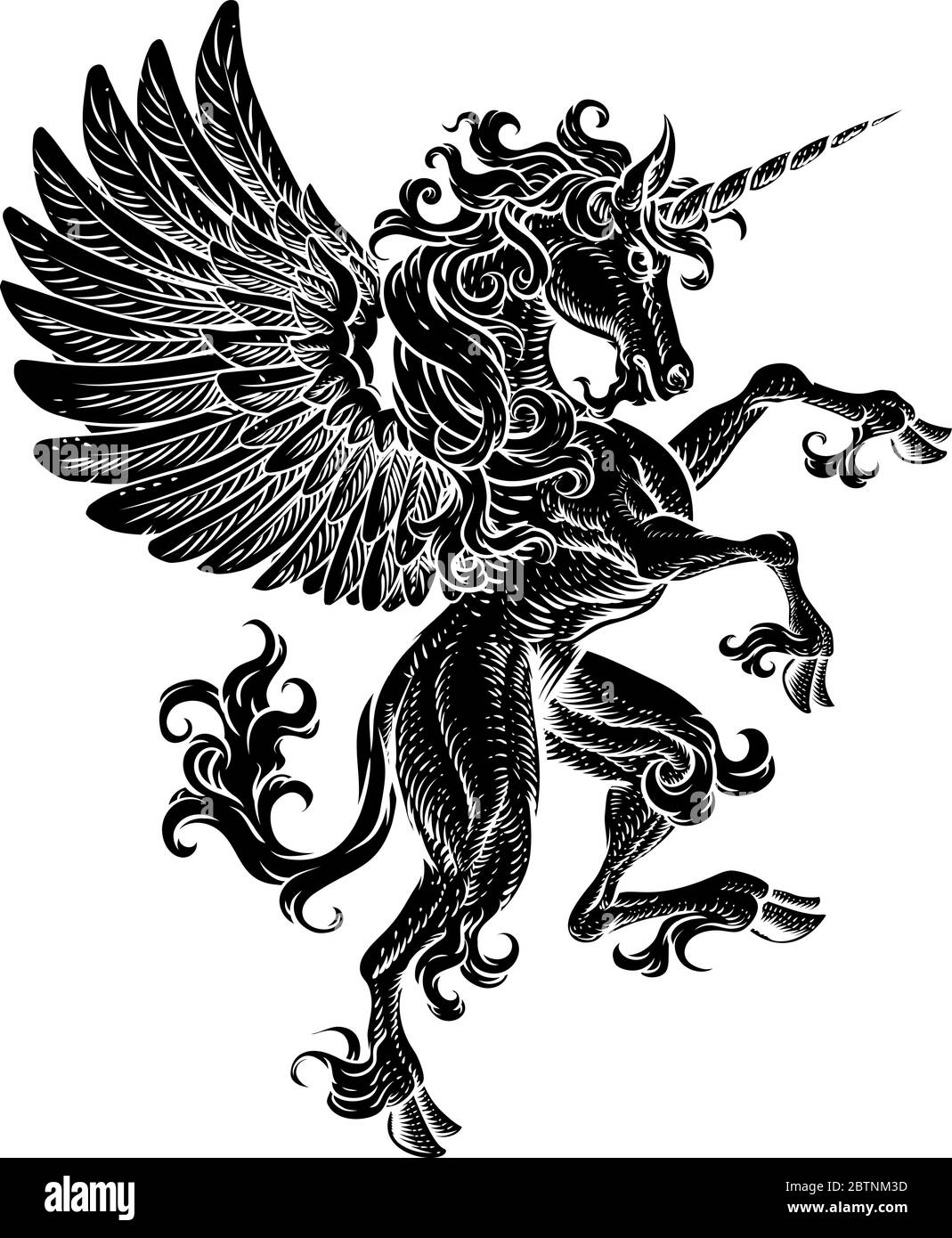 Pegasus Unicorn Rearing Rampant Crest Wings Horse Stock Vector
