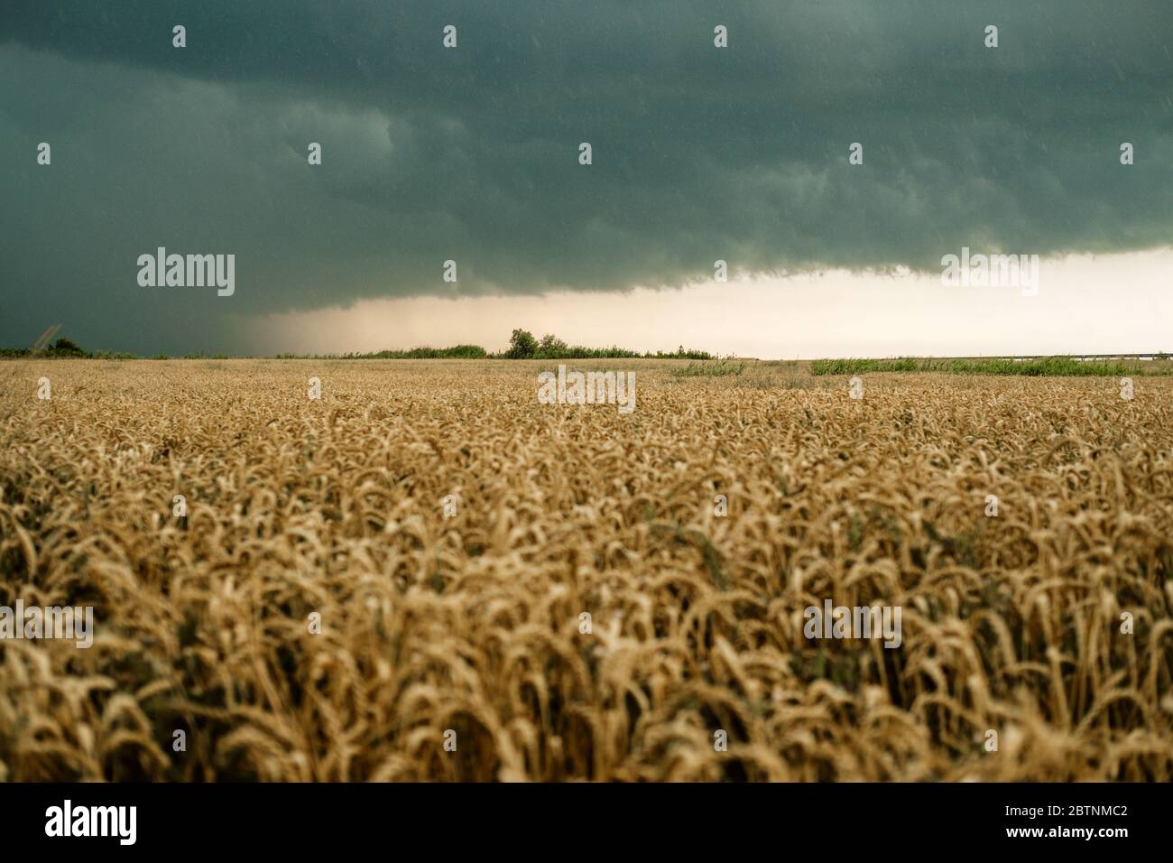 Crop failure hi-res stock photography and images - Alamy