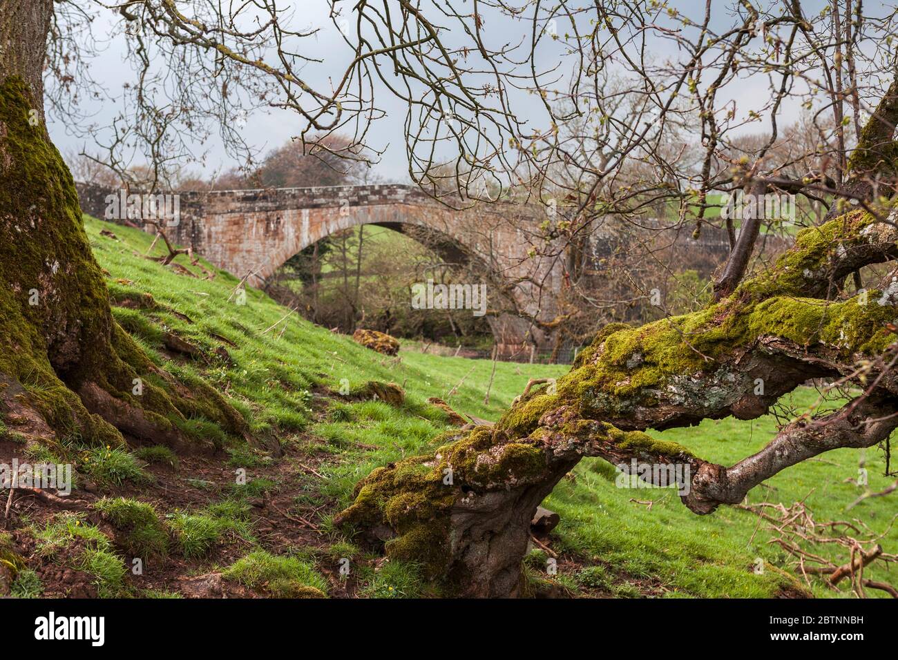 Rutherford Bridge, near Scargill, Co. Durham, England, UK Stock Photo