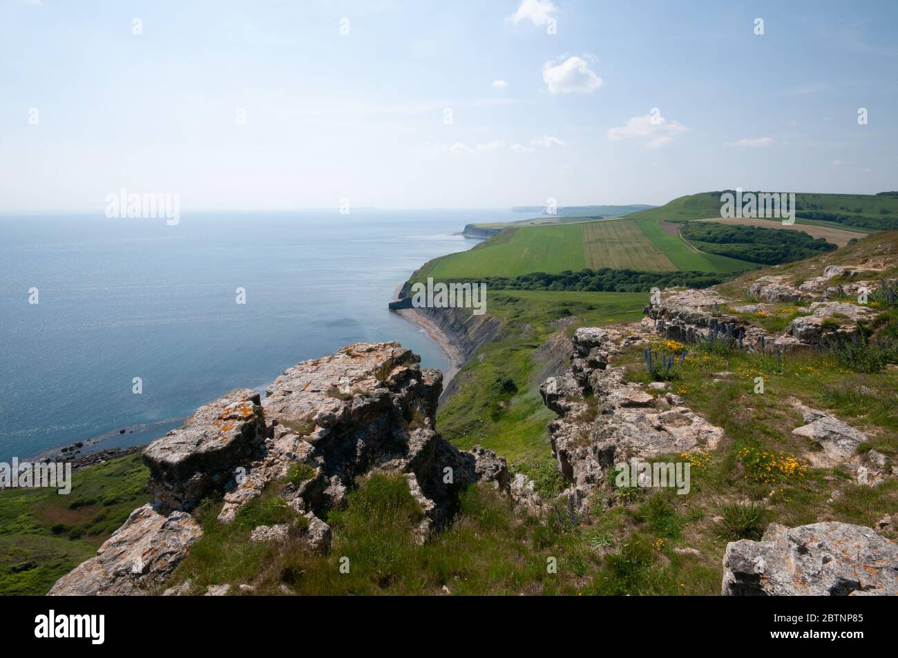 Looking west from Houns Tout, with Portland Bill in the distance.  Jurassic Coast, Dorset Stock Photo