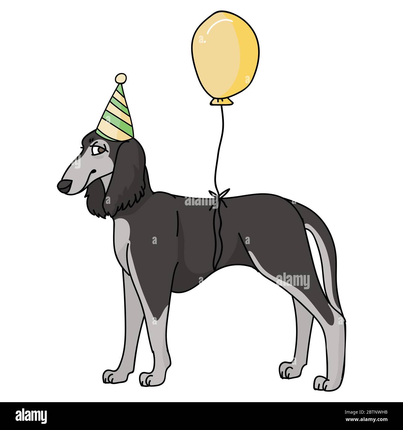Cute cartoon saluki dog with party hat vector clipart. Pedigree kennel