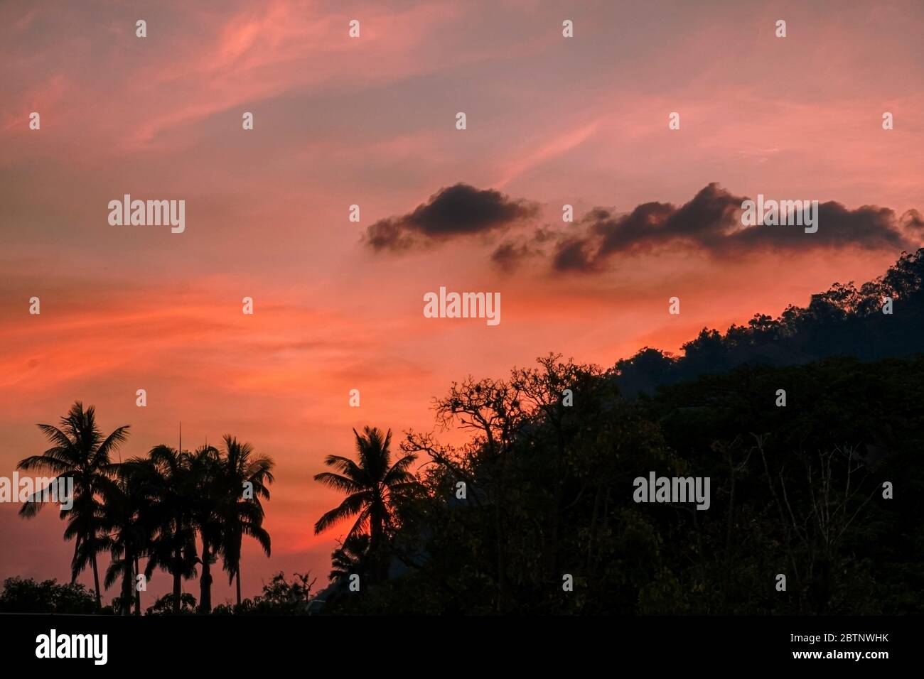 Sunset at Caracas, taken from the base of Avila mountain, National Park Stock Photo