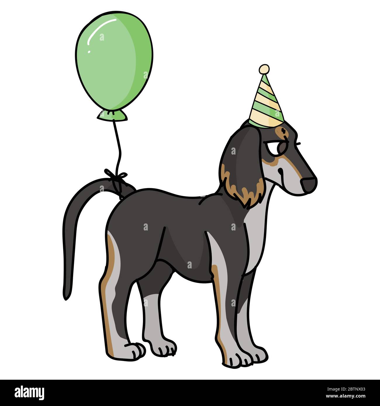 Cute cartoon saluki puppy with party hat vector clipart. Pedigree kennel  dog breed for dog lovers. Purebred domestic for celebration illustration  Stock Vector Image & Art - Alamy
