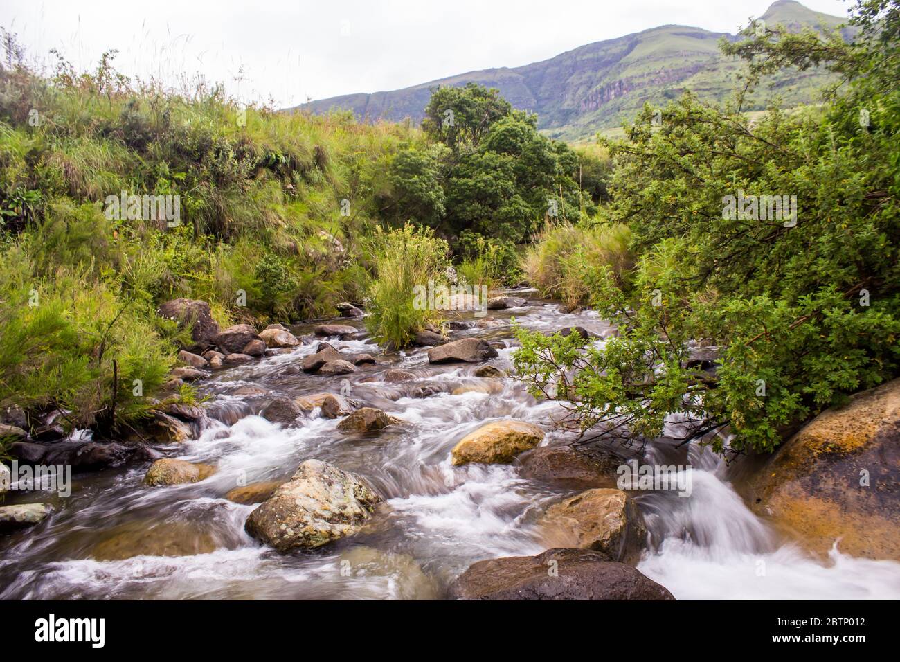 An exceptionally full Sterkspruit stream in the Monks Cowl Nature