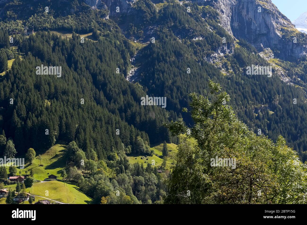 A small green valley hidden in the forest by the wooded slopes of the Alps and near the rocky cliffs of a large mountain. This view can be seen from G Stock Photo