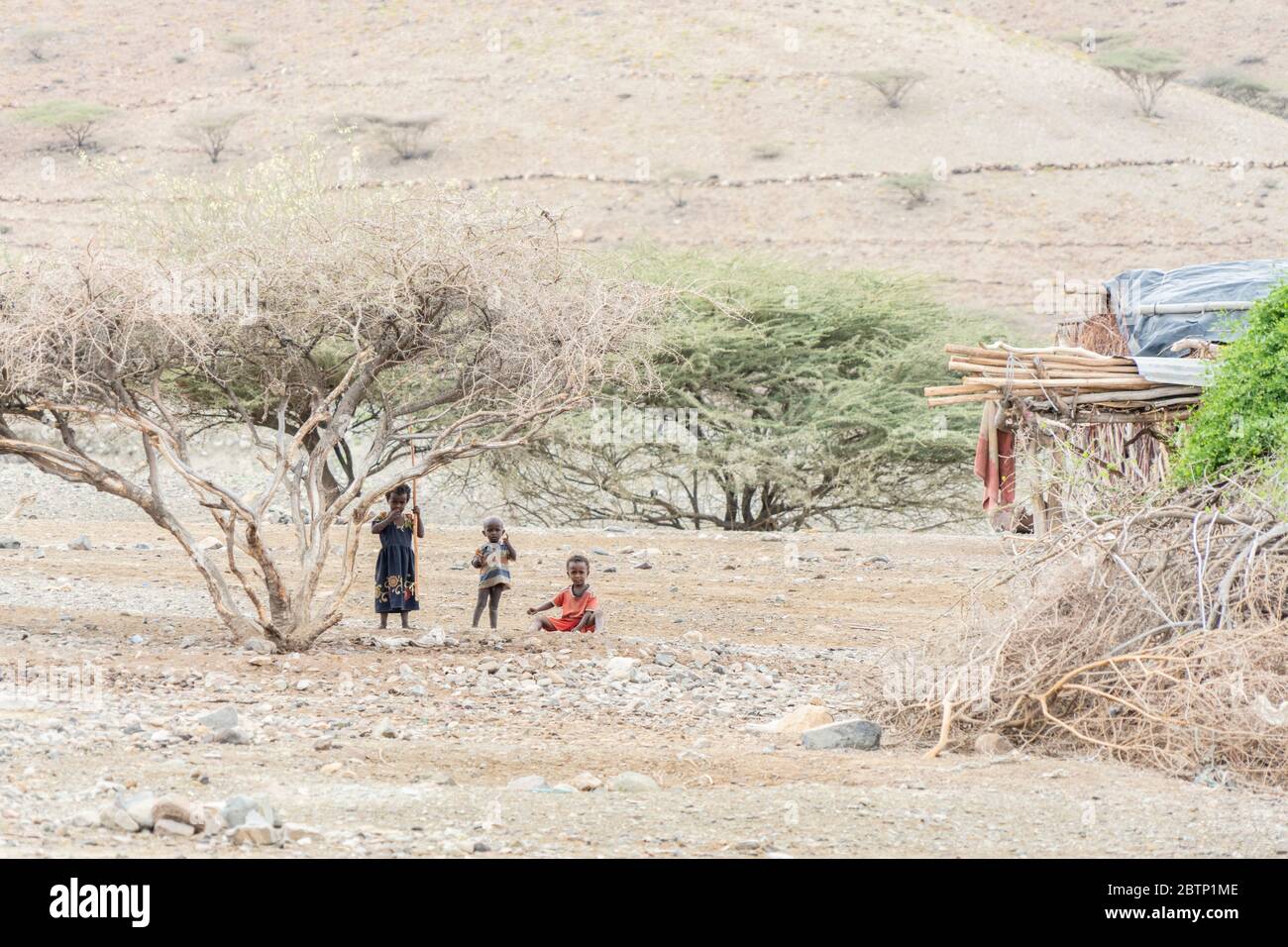 Little children in Melabday village, Asso Bhole, Dallol, Danakil Depression, Afar Region, Ethiopia, Africa Stock Photo