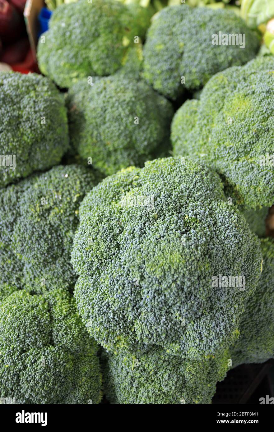 Close up of pile of broccoli. Broccoli vegetable texture. Stock Photo