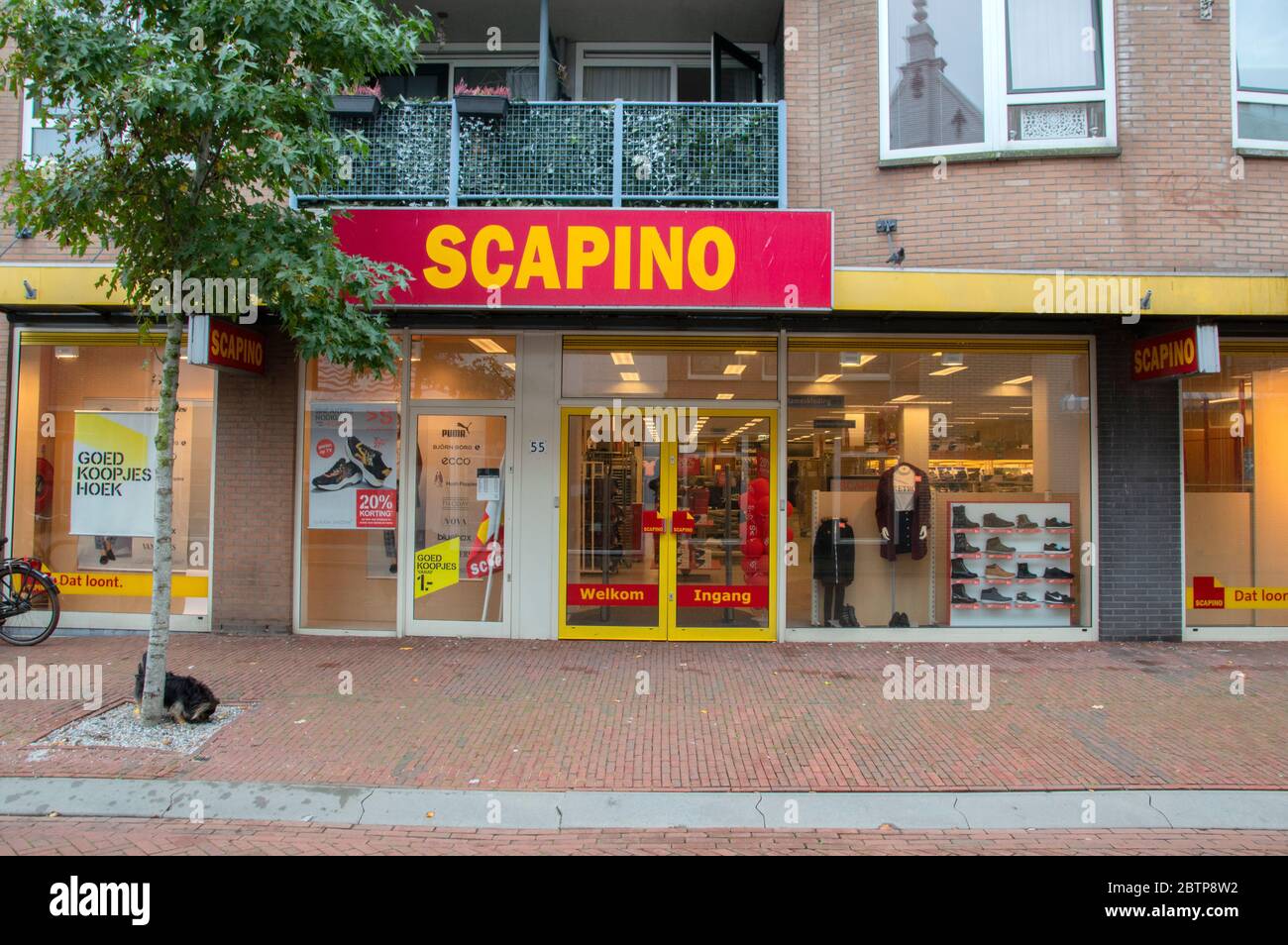 Scapino Store At Den Helder The Netherlands 23 September 2019 Stock Photo -  Alamy