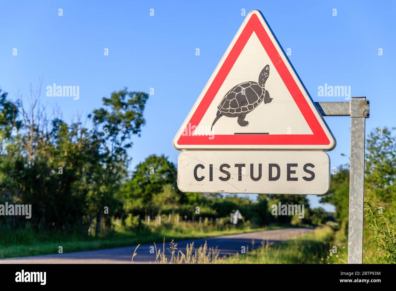 France, Indre, Berry, Brenne Regional Natural Park, Michel en Brenne, road sign danger passage of European pond turtle (Emys orbicularis), protection Stock Photo