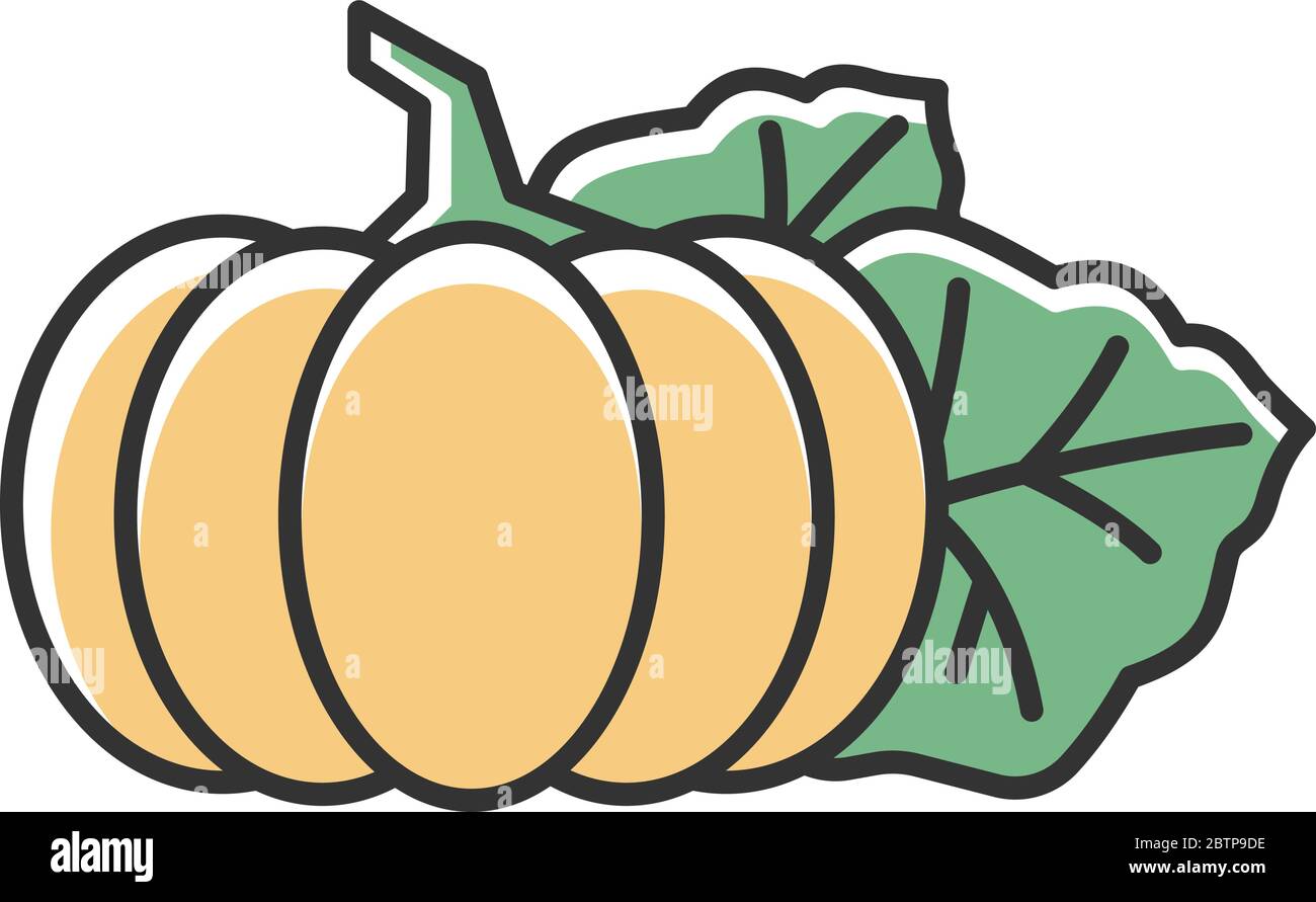 Pumpkin RGB color icon Stock Vector Image & Art - Alamy