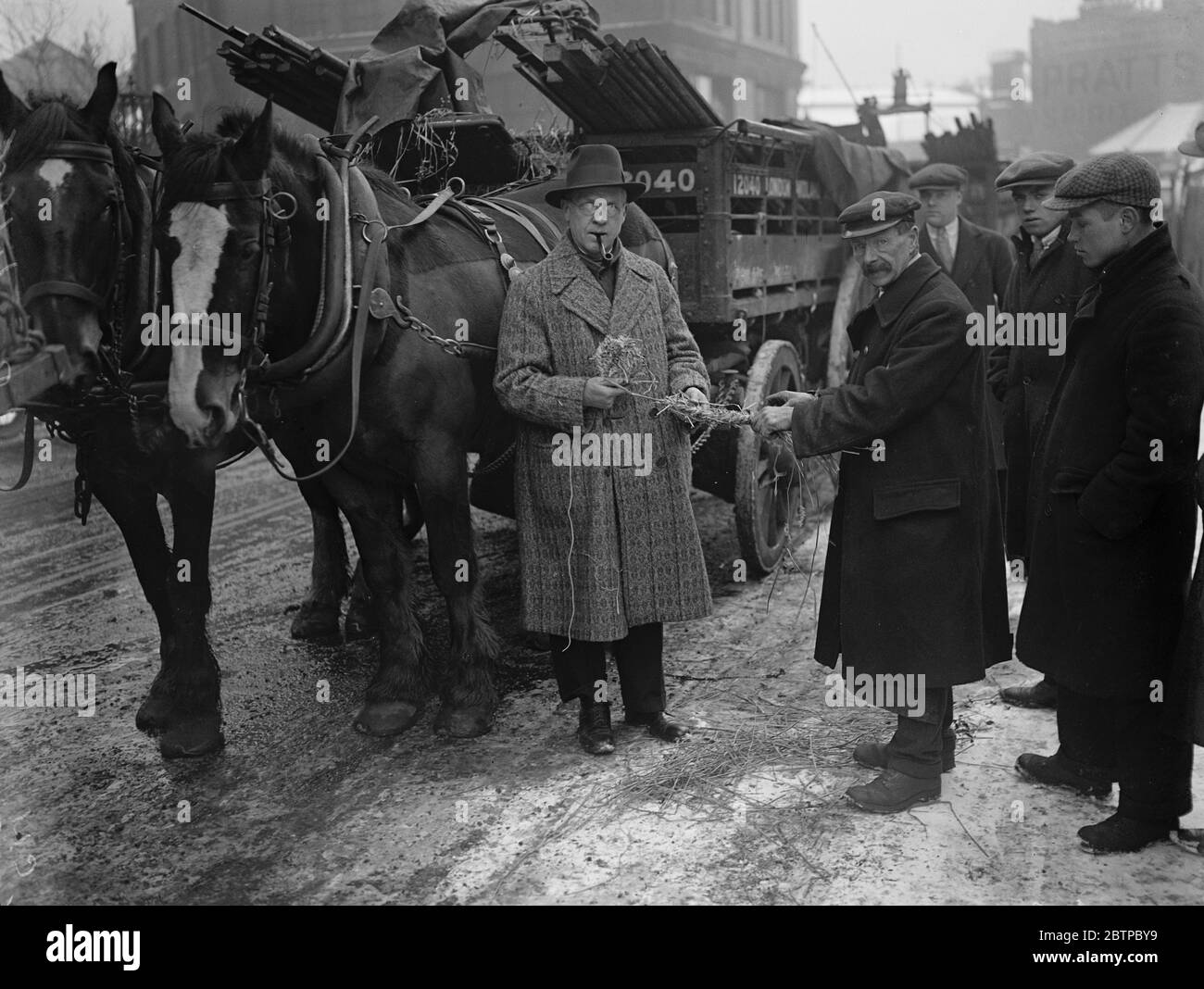 London horses and snowfall . Captain Jansen demonstrating the use of the snowshoe . 16 January 1929 Stock Photo