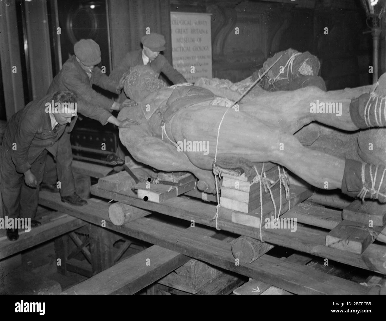 A herculean task . A giant statue of Hercules was removed in the early hours of the morning from the Jermyn Street branch of the Victoria and Albert Museum to the South Kensington building . The huge statue being placed in position on the trailer . 27 February 1932 Stock Photo