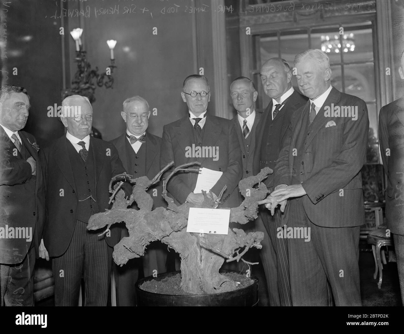 Australian Wine Centenary . Left to right : The Hon W C Angwin , Mr J R Collins , Mr Cuthbert Burgoyne , Mr Lennox Burgoyne , Mr James Todd and Sir Henry Barwell KCMG with the original cutting which has been sent back to London for the centenary celebration at the Savoy Hotel . 24 August 1932 Stock Photo