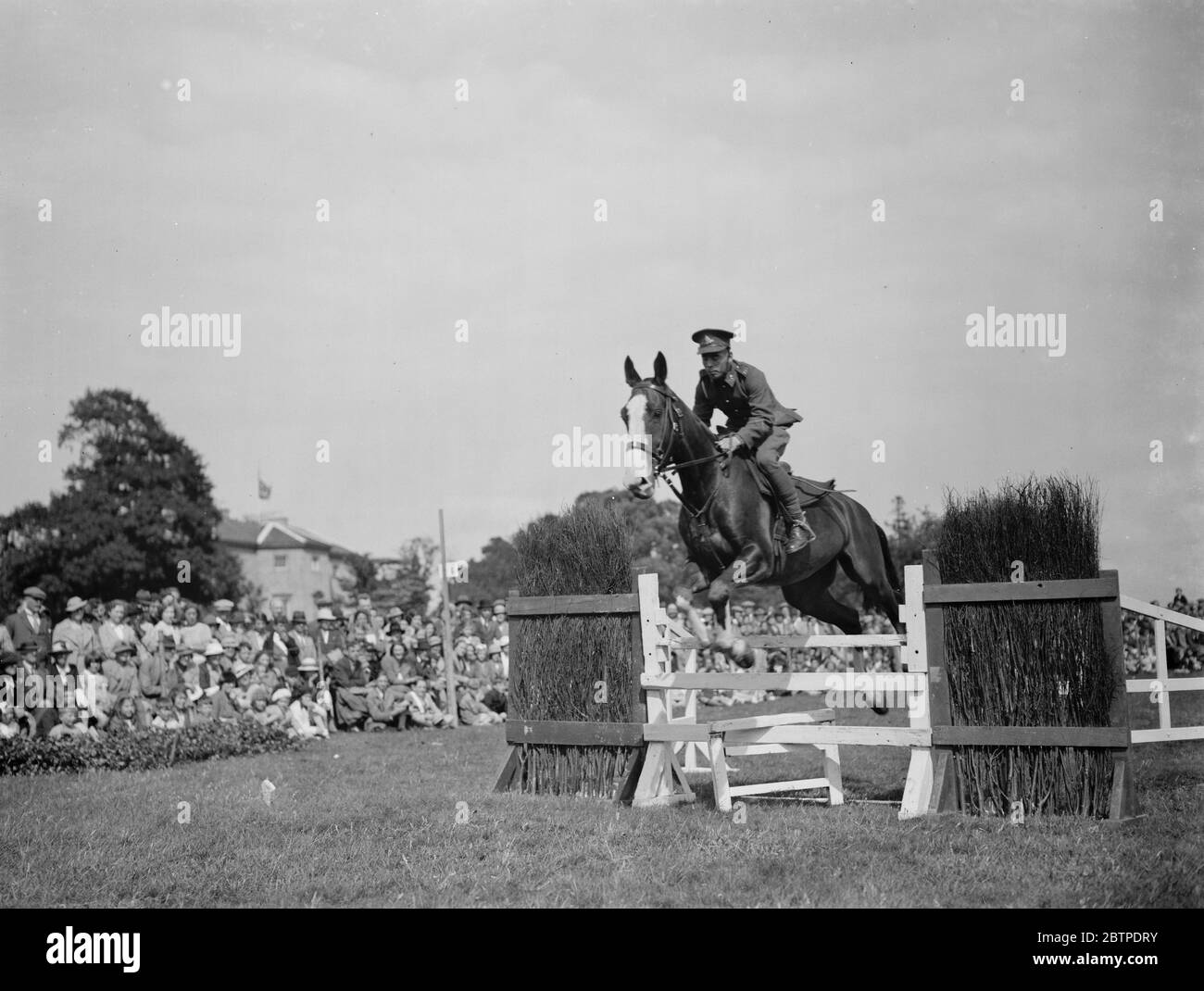 Horse jumping 1937 Stock Photo Alamy