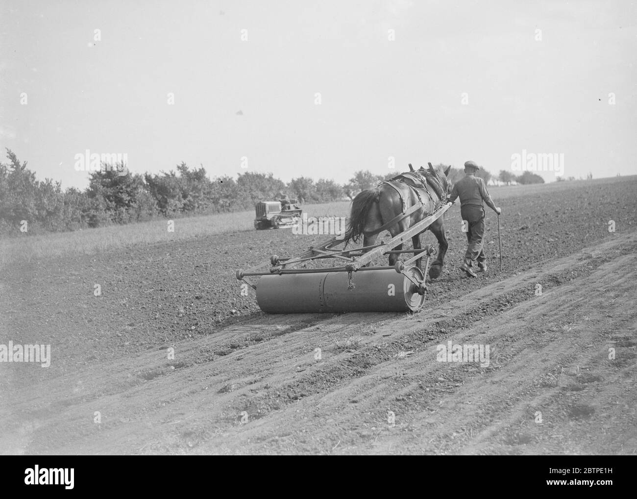 Farmers rolling seeds . 1935 Stock Photo Alamy