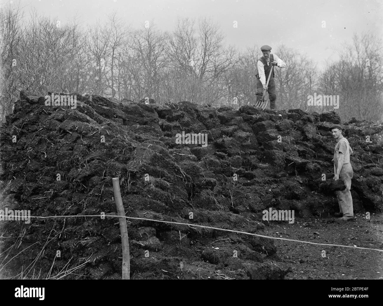 Peat in Kent . 1935 Stock Photo Alamy