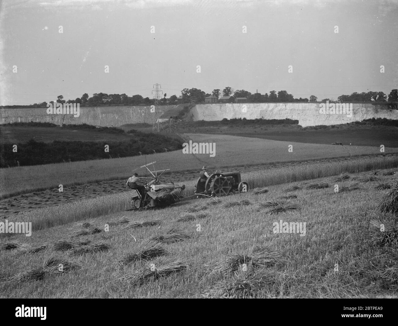 Harvesting wheat . 1937 Stock Photo Alamy