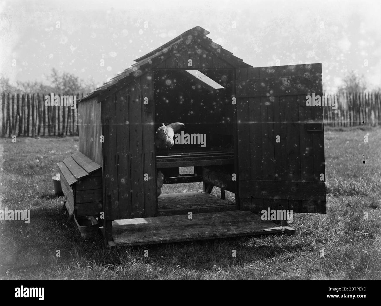 Chicken coop . 1935 Stock Photo Alamy