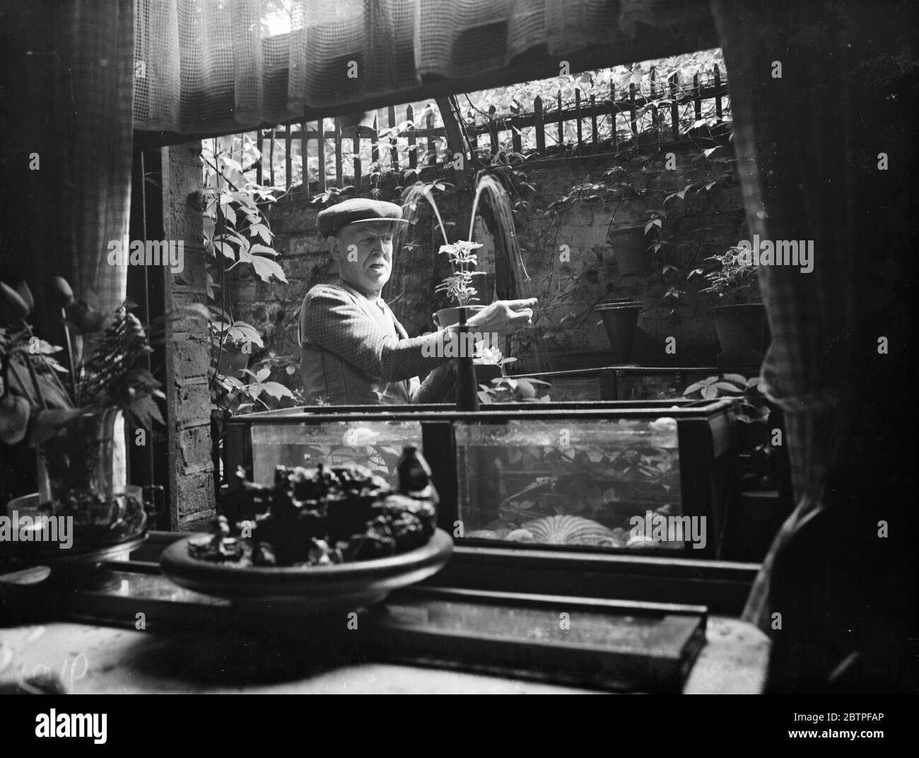 Gardens lewisham hires stock photography and images Alamy