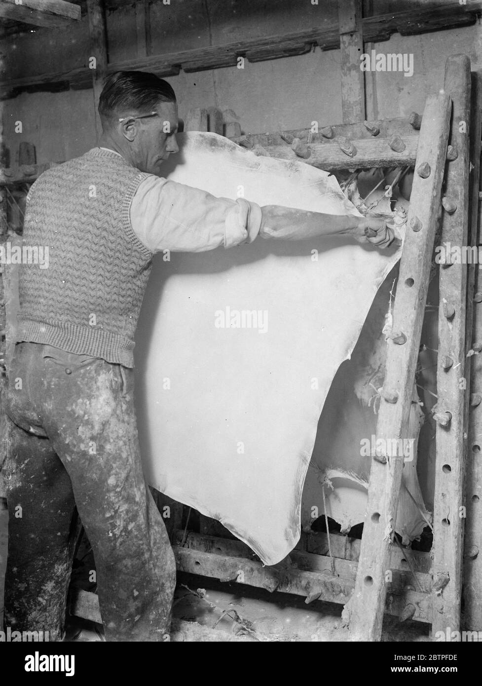 Vellum works series . A worker cutting out a skin from its frame . 1935