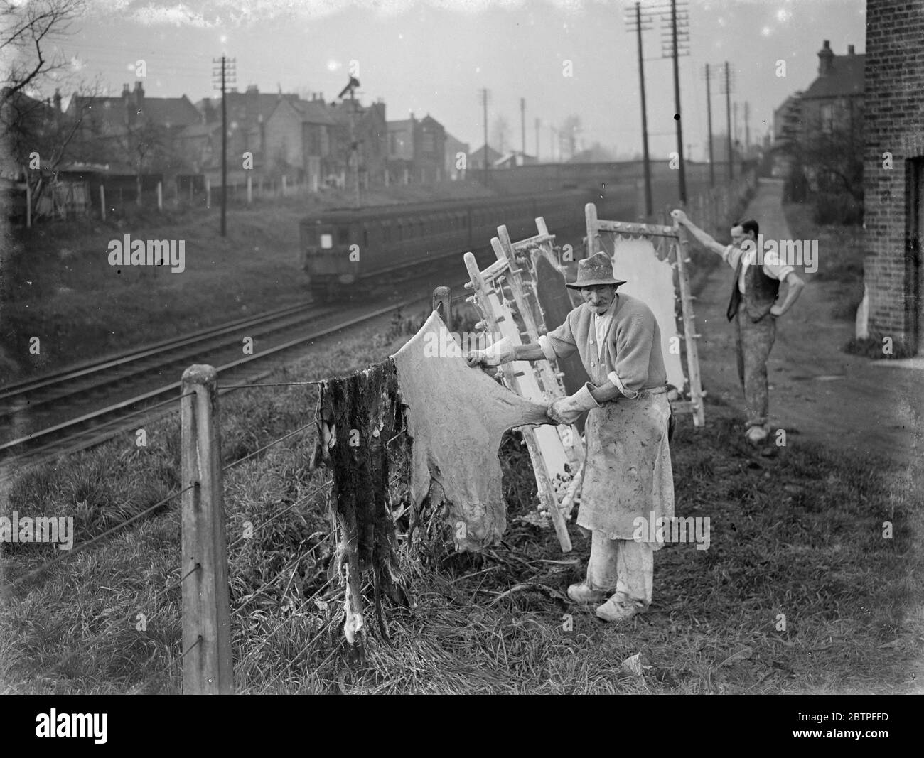 Vellum works series . Workers drying skins on frames at the back of the