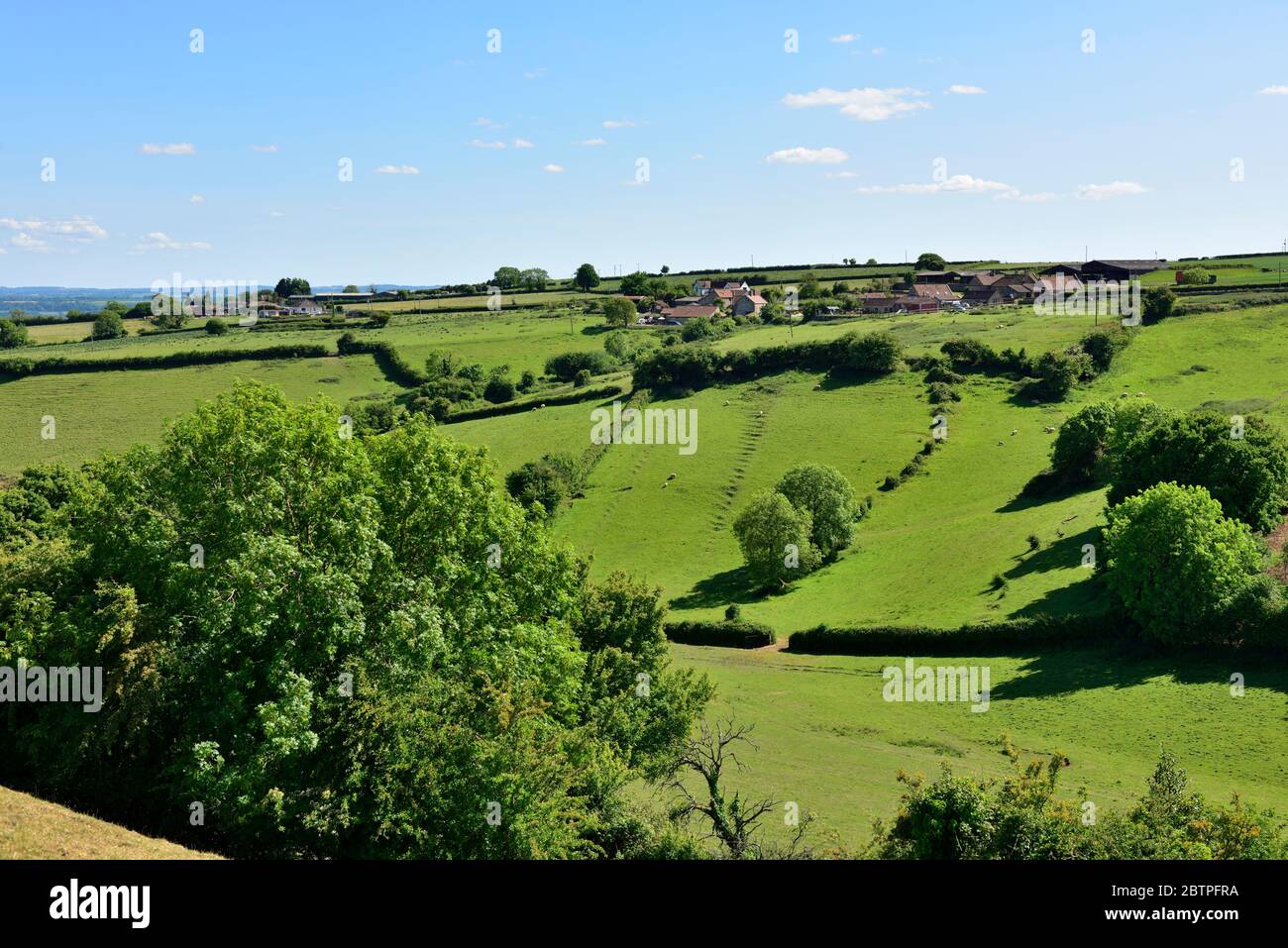 Somerset countryside with green fields, rolling hills near Dundry, outskirts of Bristol, England Stock Photo