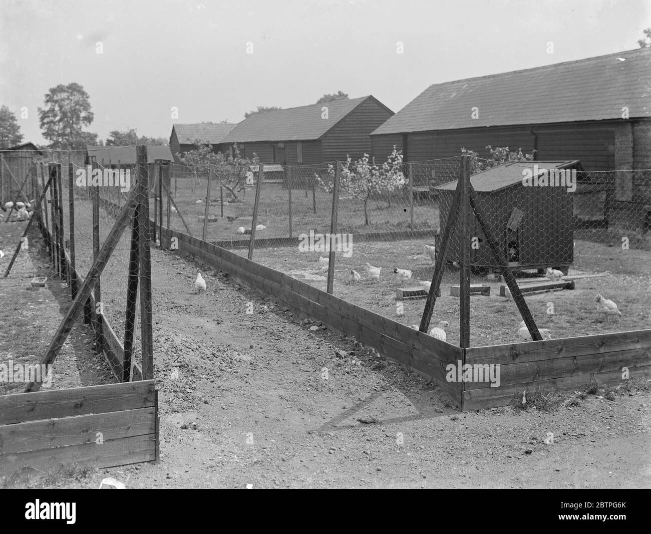 Archival chicken house hi-res stock photography and images - Alamy