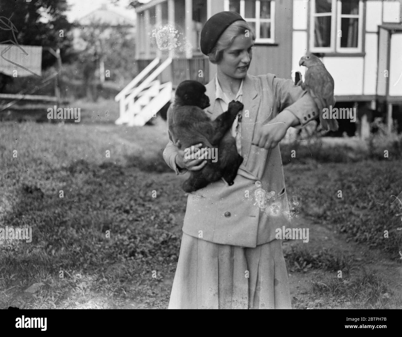 Strange Pals A parrot and a monkey are inseparable pals , pets belonging Miss Doris Edwards , a niece of Hetty King the male impersonator , who lives at Walton on Thames . Miss Edwards and her strange pals a parrot and a monkey . 6 August 1932 Stock Photo