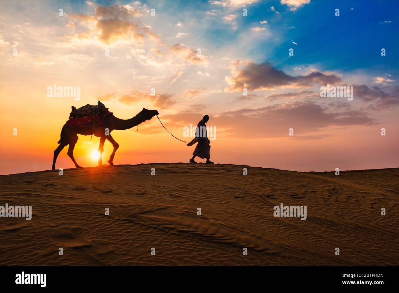 Indian cameleer camel driver with camel silhouettes in dunes on sunset. Jaisalmer, Rajasthan, India Stock Photo