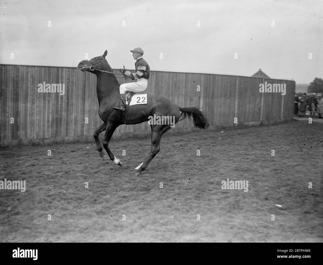 Horse - Statesman . June 1933 Stock Photo