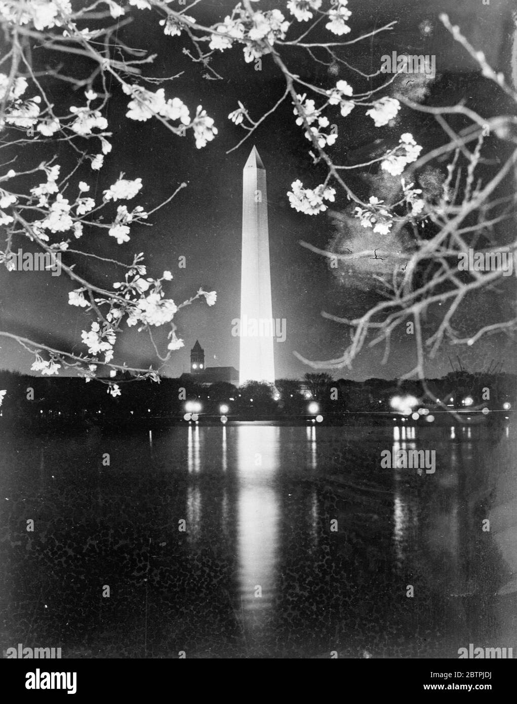 Cherry blossom time . The Washington Monument at Washington , DC , seen at night through cherry blossoms . A hundred thousand visitors flocked to Washington within a few days to witness the beautiful sight of the cherry trees in bloom . 2 May 1934 Stock Photo