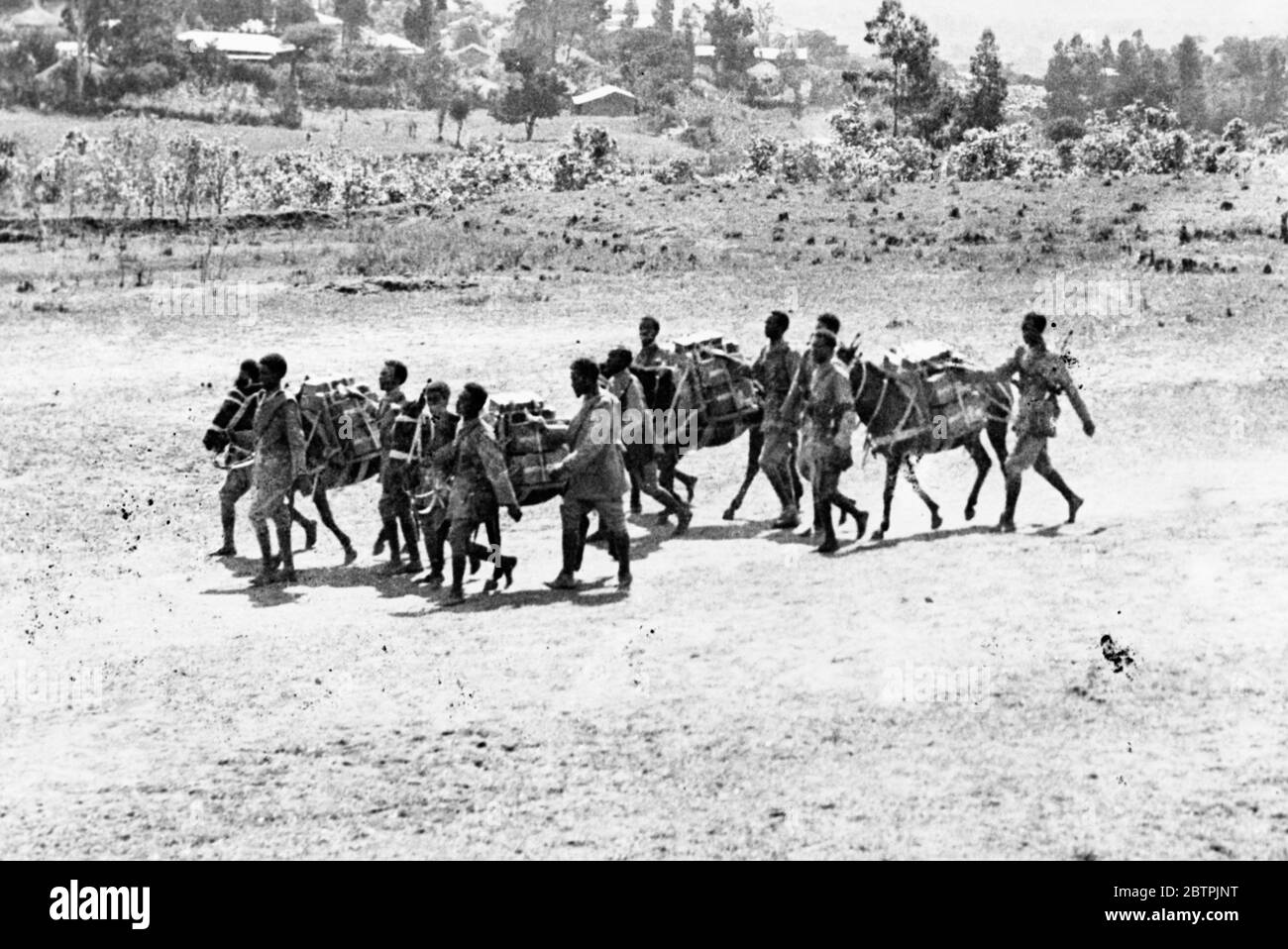 Abyssinia 's Southern front . Machine guns moved up in the Ogaden . Troops with mules laden with machine guns and ammunition moving up into position in the Ogaden . 14 October 1935 Stock Photo