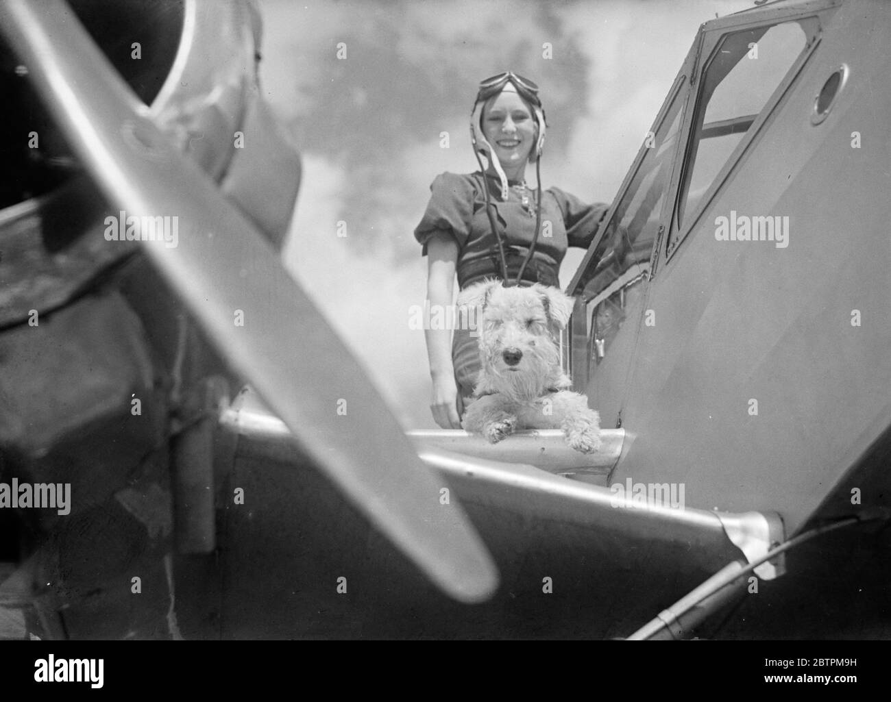 Air minded . Mrs Stace , charming air woman and director of aviation firm about to take her pet dog on a flight . Stock Photo