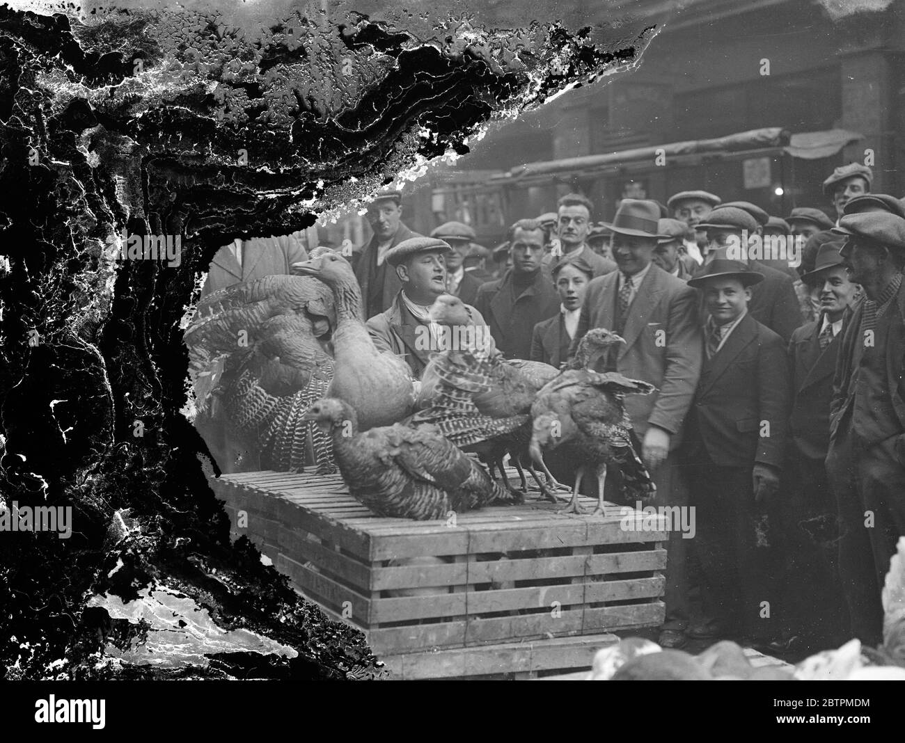 Buying the christmas turkey . Schlater Street , Bethnal Green ' s well known street poultry market , and Middlesex Street were crowded today ( Sunday ) with early Christmas shoppers . Photo shows , buying the christmas turkey at Schleter Street in Bethnal Green . 1 December 1935 Stock Photo